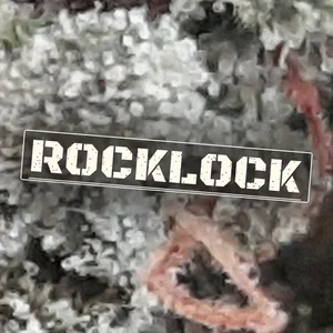 Rocklock Cannabis Strain