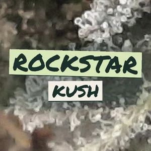 Rockstar Kush Cannabis Strain