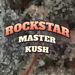 Rockstar Master Kush Cannabis Strain