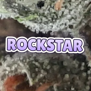 Rockstar Cannabis Strain