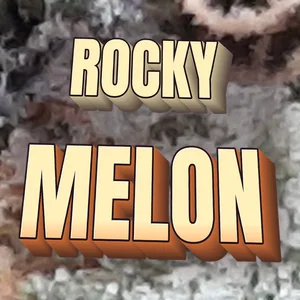 Rocky Melon Cannabis Strain