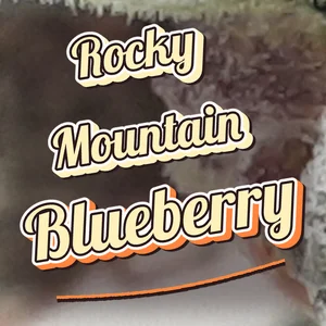Rocky Mountain Blueberry Cannabis Strain