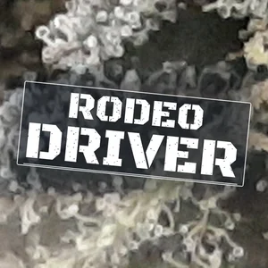 Rodeo Driver Cannabis Strain