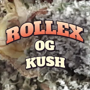 Rollex OG Kush Cannabis Strain