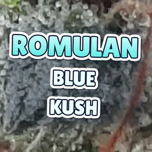 Romulan Blue Kush Cannabis Strain