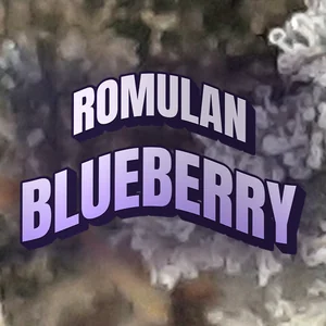 Romulan Blueberry Cannabis Strain