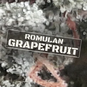 Romulan Grapefruit Cannabis Strain