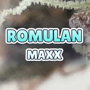 Romulan Maxx Cannabis Strain