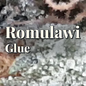 Romulawi Glue Cannabis Strain