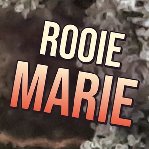 Rooie Marie Cannabis Strain