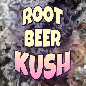 Root Beer Kush Cannabis Strain