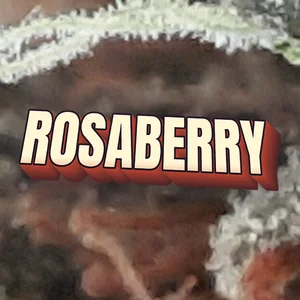 Rosaberry Cannabis Strain