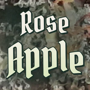 Rose Apple Cannabis Strain