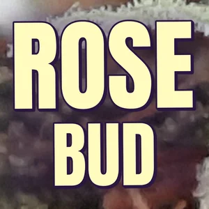 Rose Bud Cannabis Strain