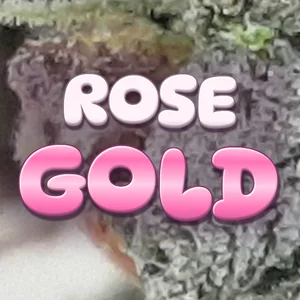 Rose Gold Cannabis Strain