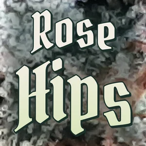Rose Hips Cannabis Strain