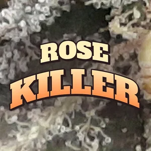 Rose Killer Cannabis Strain