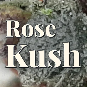 Rose Kush Cannabis Strain