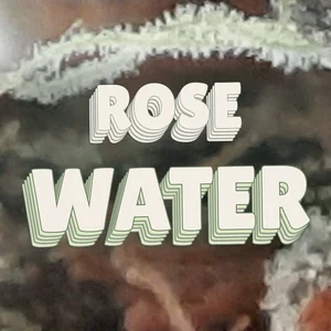 Rose Water Cannabis Strain