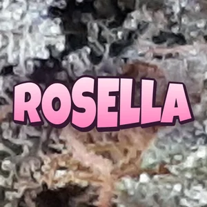 Rosella Cannabis Strain