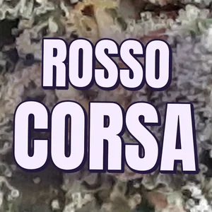 Rosso Corsa Cannabis Strain