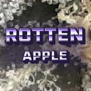 Rotten Apple Cannabis Strain