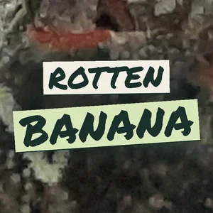 Rotten Banana Cannabis Strain