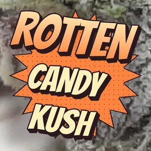 Rotten Candy Kush Cannabis Strain