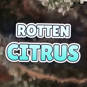 Rotten Citrus Cannabis Strain