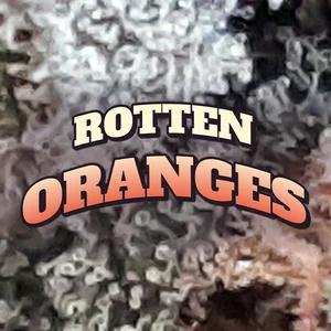 Rotten Oranges Cannabis Strain