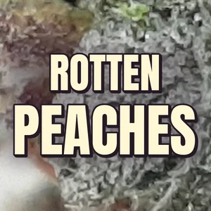 Rotten Peaches Cannabis Strain