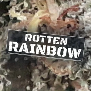 Rotten Rainbow Cannabis Strain