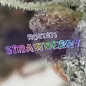 Rotten Strawberry Cannabis Strain
