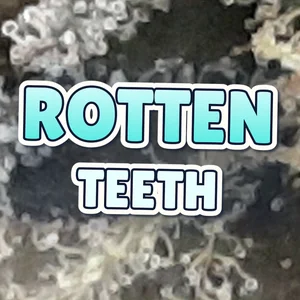 Rotten Teeth Cannabis Strain