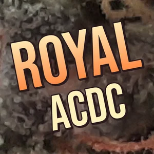 Royal ACDC Cannabis Strain