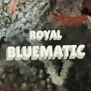 Royal Bluematic Cannabis Strain