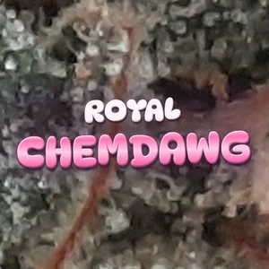 Royal Chemdawg Cannabis Strain
