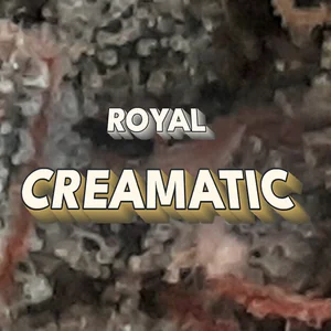 Royal Creamatic Cannabis Strain