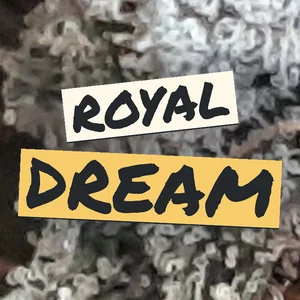 Royal Dream Cannabis Strain