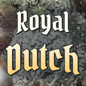 Royal Dutch Cannabis Strain