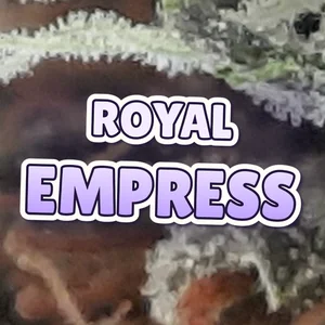 Royal Empress Cannabis Strain
