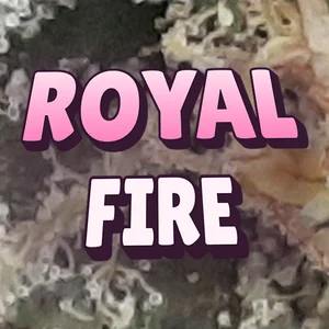 Royal Fire Cannabis Strain