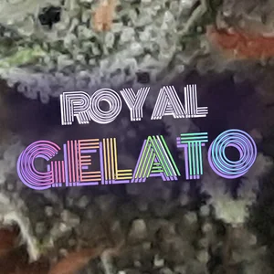 Royal Gelato Cannabis Strain