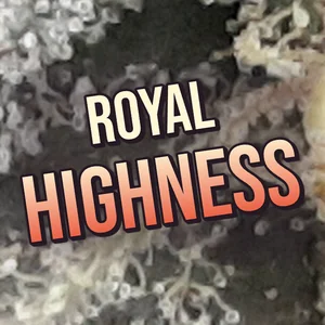 Royal Highness Cannabis Strain