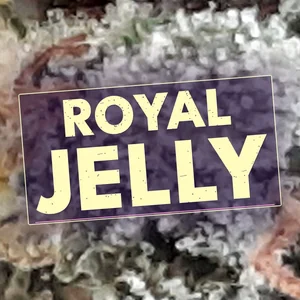 Royal Jelly Cannabis Strain