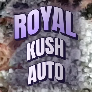 Royal Kush Auto Cannabis Strain
