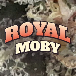 Royal Moby Cannabis Strain