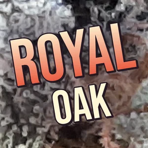Royal Oak Cannabis Strain