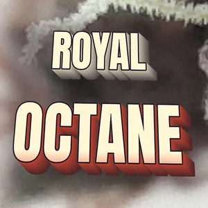 Royal Octane Cannabis Strain