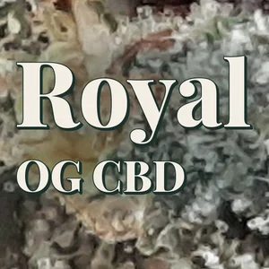 Royal OG CBD Cannabis Strain